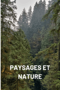 Votre texte de paragraphe (5) (1) (1)